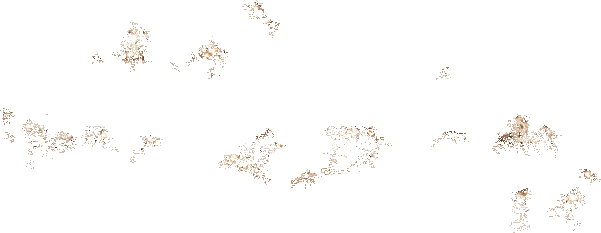 Best Pirce ๐คฉ STEVEMADDEN POSSESSION-R WHITE ๐ฅ 10 Best Pirce ๐คฉ STEVEMADDEN POSSESSION-R WHITE ๐ฅ - Image 8