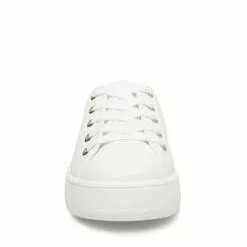 Best Sale ⌛ SteveMadden BALTON WHITE ⌛ -Steve Madden Sales Store STEVEMADDEN ATHLETIC BALTON WHITE FRONT