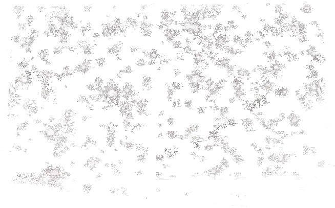 Buy ๐คฉ SteveMadden BSWAGGER SILVER ๐ 3 Buy ๐คฉ SteveMadden BSWAGGER SILVER ๐