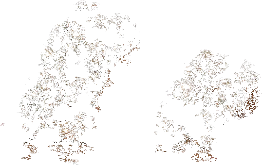 Discount ๐ SteveMadden NEWBIE RHINESTONES ๐ 2 Discount ๐ SteveMadden NEWBIE RHINESTONES ๐