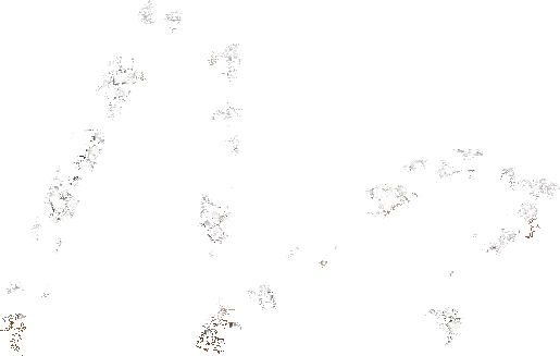 Wholesale ๐ SteveMadden STARIE RHINESTONES ๐ 10 Wholesale ๐ SteveMadden STARIE RHINESTONES ๐ - Image 8