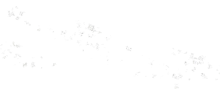 Outlet 🌟 SteveMadden MAXIMA ORANGE 🎁 22 Outlet 🌟 SteveMadden MAXIMA ORANGE 🎁 - Image 20