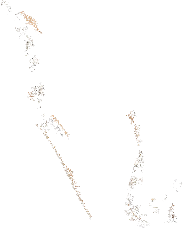 Flash Sale π₯ SteveMadden NOELLE RHINESTONES π 3 Flash Sale π₯ SteveMadden NOELLE RHINESTONES π