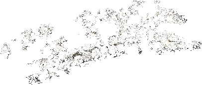 Discount โญ SteveMadden GWEN WHITE ๐ 13 Discount โญ SteveMadden GWEN WHITE ๐ - Image 11