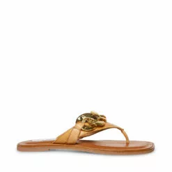 Best Sale 😍 SteveMadden HAZEL BLACK 🤩 -Steve Madden Sales Store STEVEMADDEN SHOES HAZEL TAN SIDE 3