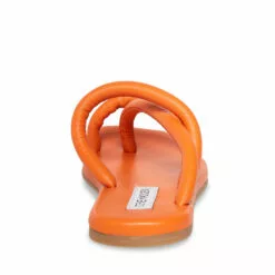 Budget โค๏ธ SteveMadden TROPIC ORANGE ๐ 14 Budget โค๏ธ SteveMadden TROPIC ORANGE ๐ -Steve Madden Sales Store STEVEMADDEN SHOES TROPIC ORANGE BACK