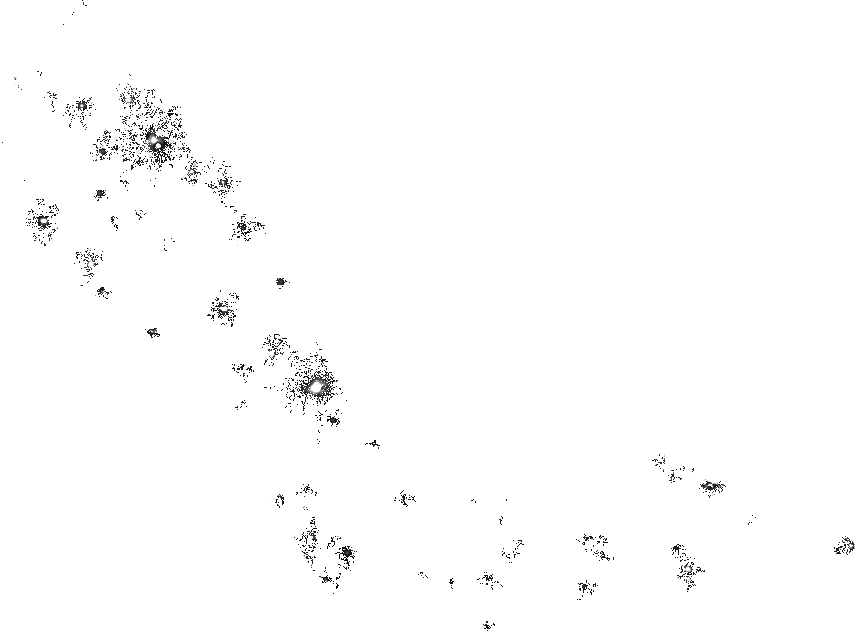 Deals ๐ SteveMadden VARIOUS BLACK โ๏ธ 9 Deals ๐ SteveMadden VARIOUS BLACK โ๏ธ - Image 7