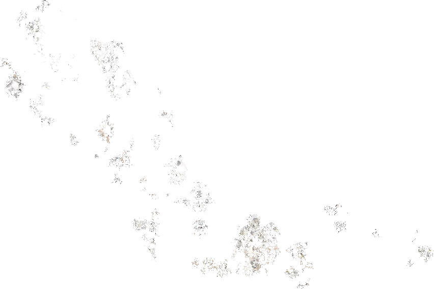 Deals ๐ SteveMadden VARIOUS CLEAR โญ 3 Deals ๐ SteveMadden VARIOUS CLEAR โญ